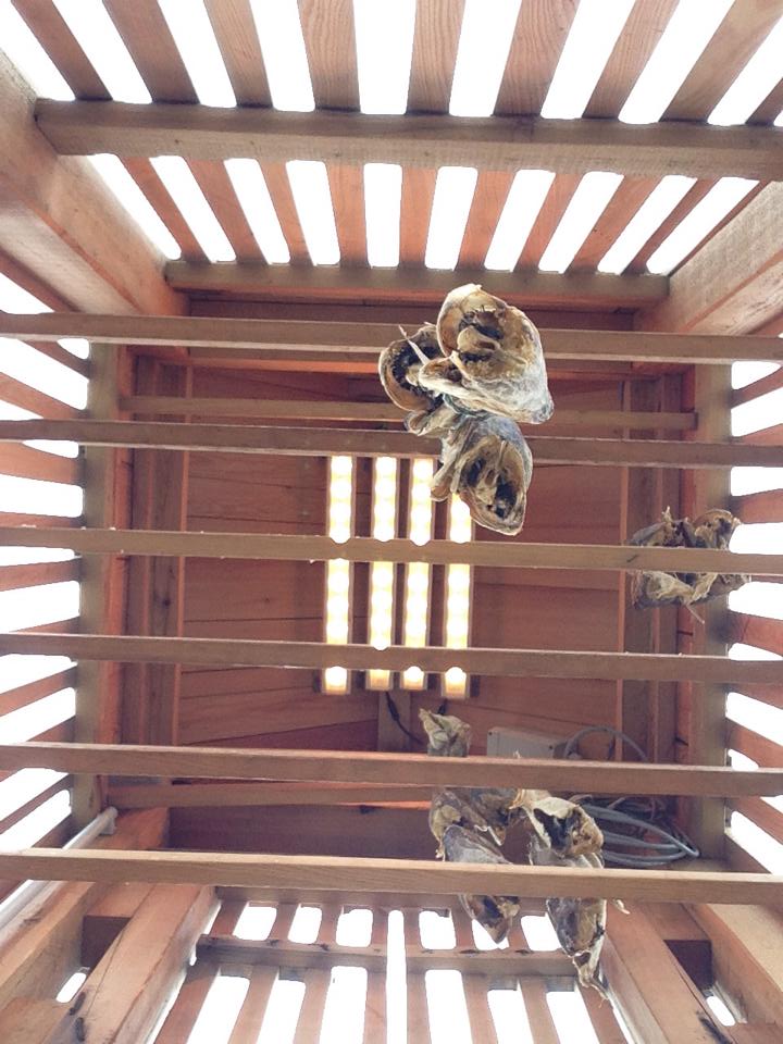 %cf%88%ce%b1%cf%81%ce%b9